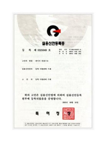 실용신안 제 0325049 호